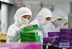航空美食出炉记 严格管理确保安全卫生 高清组图