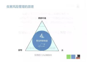 食品厂虫鼠害控制资料,收藏备用